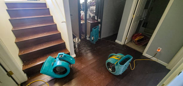 Best Local water damage restoration  in Pendleton, OR