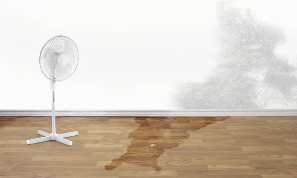 Carpet water damage restoration in OR