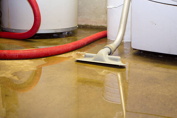 Best Basement water damage restoration  in Pendleton, OR