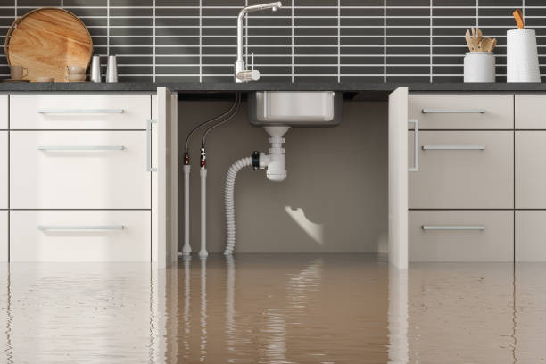 Best Professional water damage repair  in Pendleton, OR